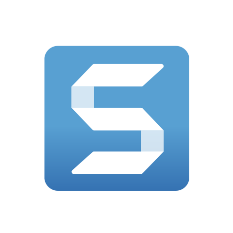 TechSmith Snagit - Business. Годовая подписка