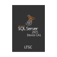 SQL Server 2025 - 1 Device CAL