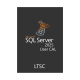SQL Server 2025 - 1 User CAL