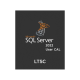 SQL Server 2022 - 1 User CAL