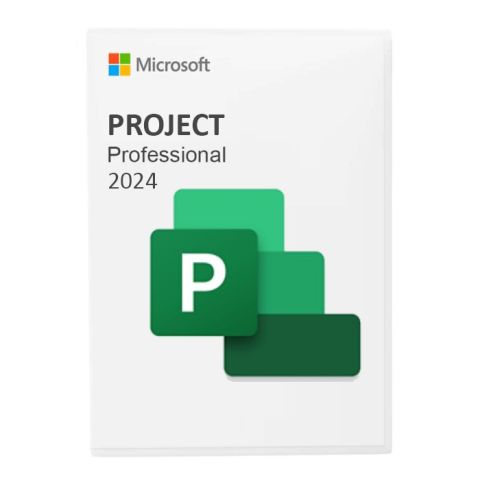 Project профессиональный 2024 (ESD)