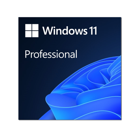 Microsoft Windows 11 Pro Eng (OEM) Комплект для сборщиков