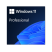 Microsoft Windows 11 Pro Eng (OEM) Комплект для сборщиков