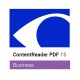 ContentReader PDF 15 Business (ESD) Подписка (ABBYY FineReader)