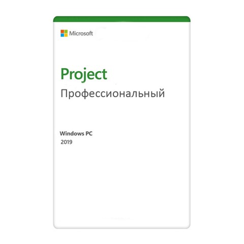 Project профессиональный 2019 (ESD)