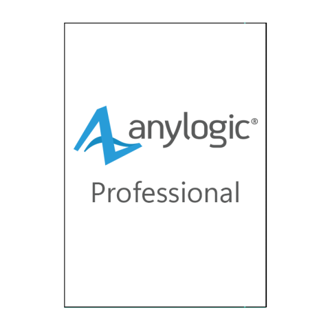 Anylogic Professional Бессрочная лицензия